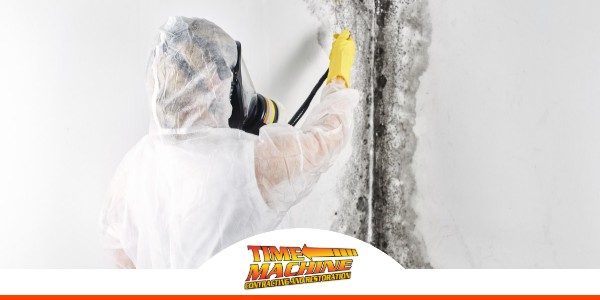 Orlando Mold Removal