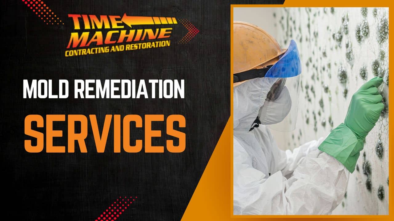 Mold Remediation Fl